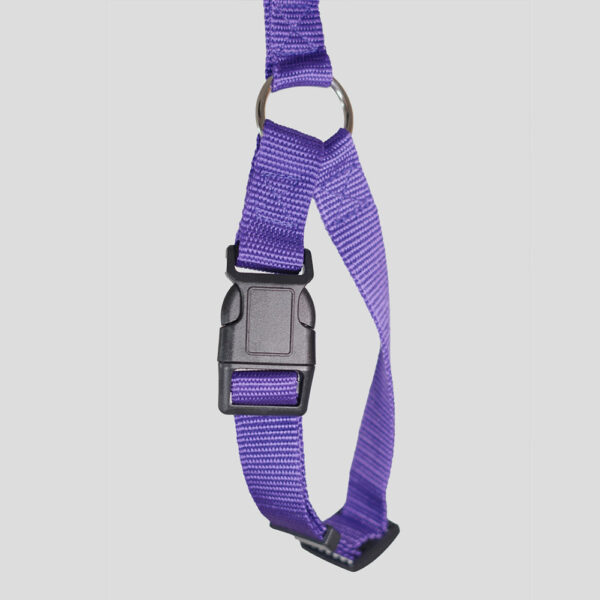 Cinturón de Seguridad (ajustable)