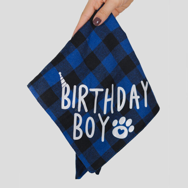 Kit de Fiesta para Mascotas - Image 7