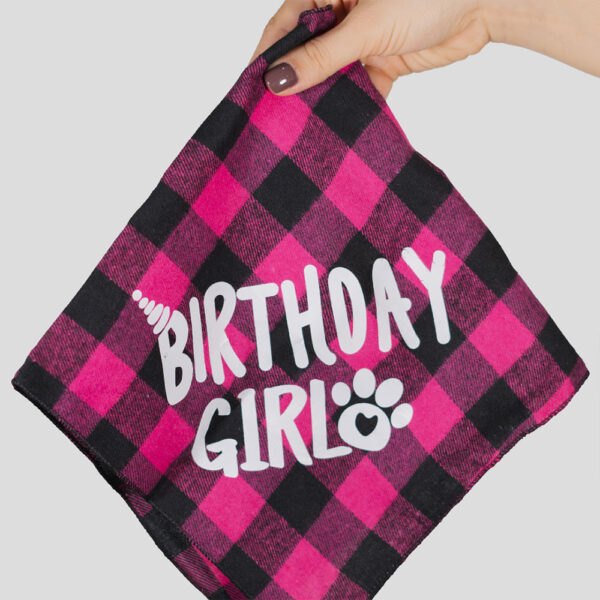 Kit de Fiesta para Mascotas - Image 2