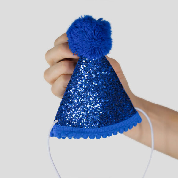 Kit de Fiesta para Mascotas - Image 3