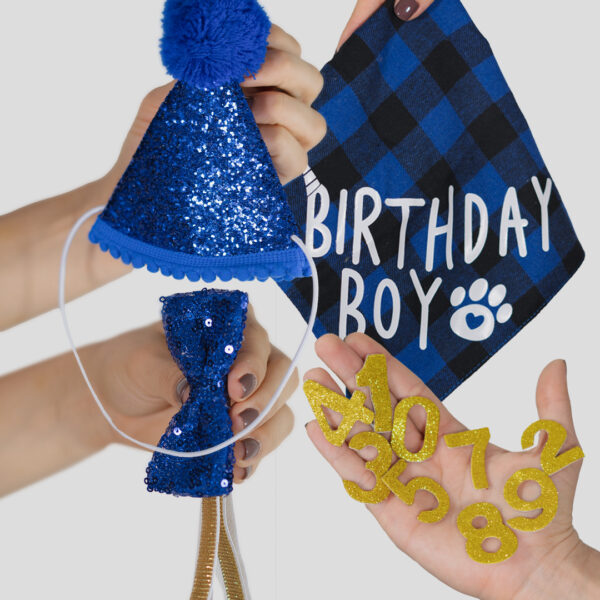 Kit de Fiesta para Mascotas