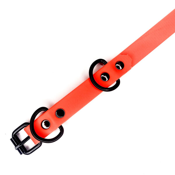 [Waak] Collar - Image 2