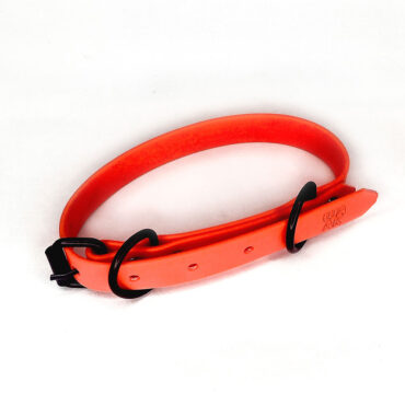 [Waak] Collar