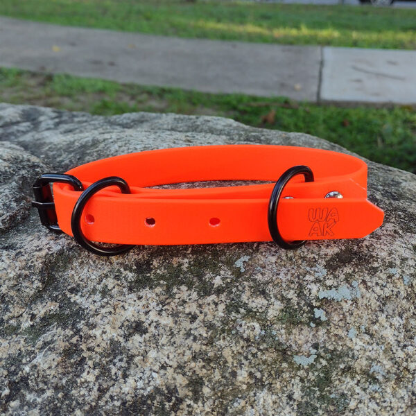 [Waak] Collar - Image 3