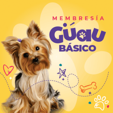 Guau Básico