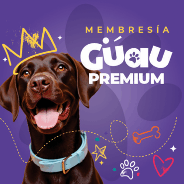 Guau Premium